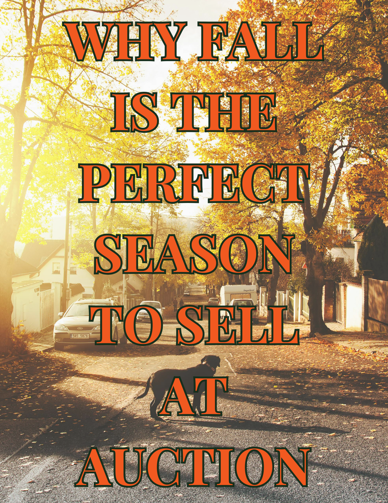 Why Fall is the Perfect Season to Sell at Auction