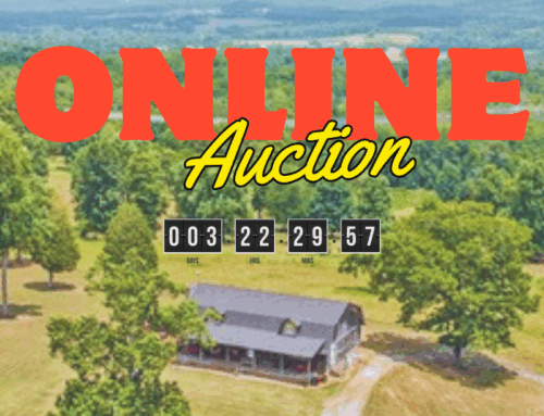 How Online Real Estate Auctions Work