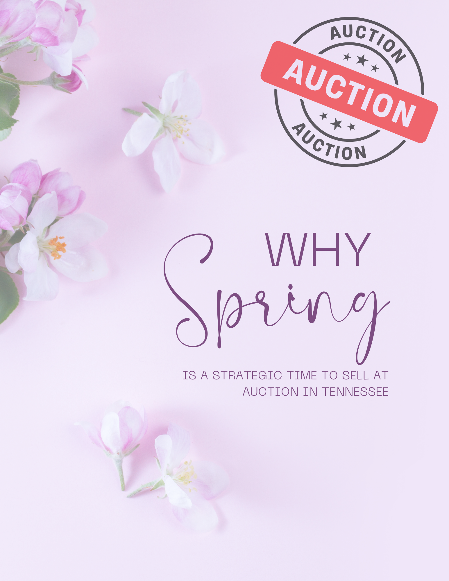 Why Spring Is a Strategic Time to Sell at Auction